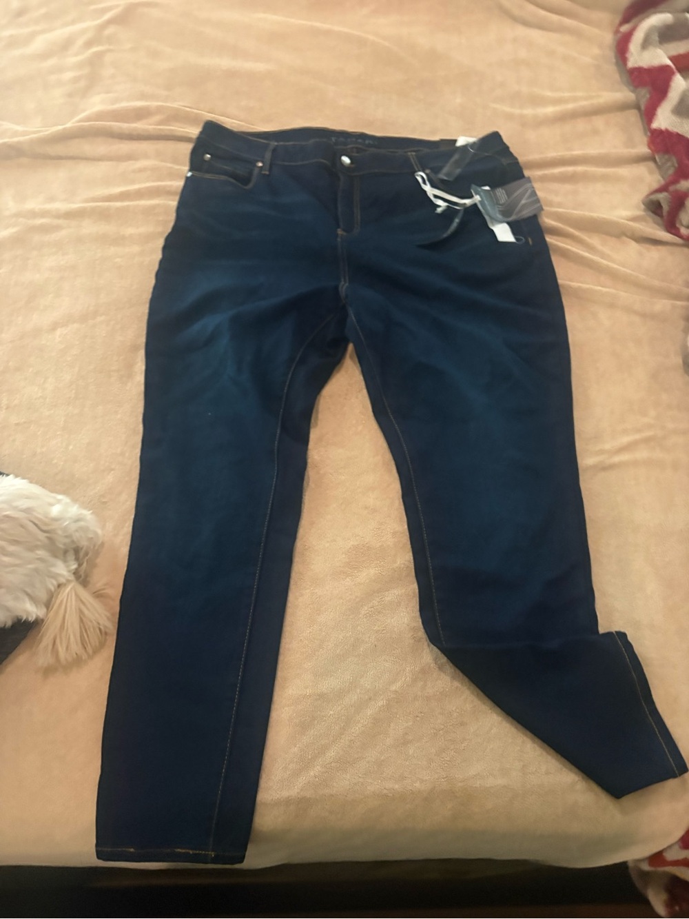 Women’s Tahari Dark Blue Skinny Jeans 20W NWT